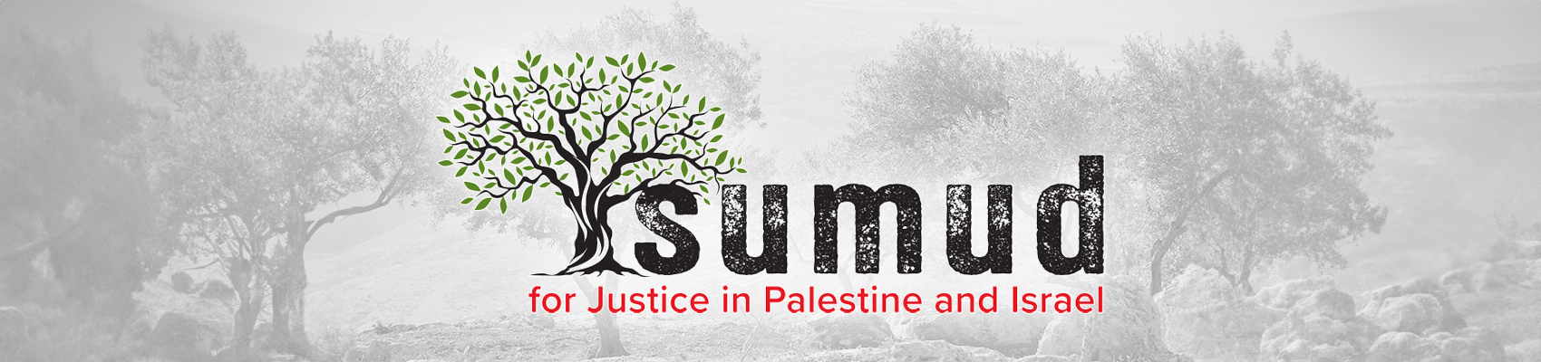 Sumud logo featuring an olive tree and the words "for Justice in Palestine and Israel" on a black and white background of an olive grove
