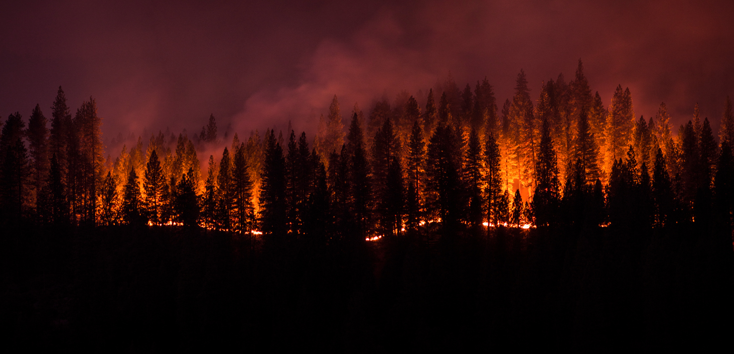 California Wildfires