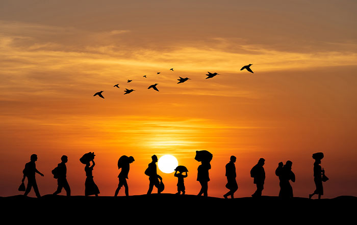 Immigration Banner Photo